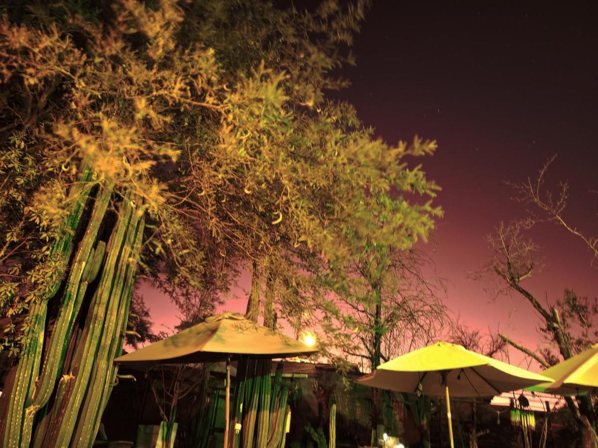 Hostal Katarpe سان بيدرو دي أتاكاما المظهر الخارجي الصورة